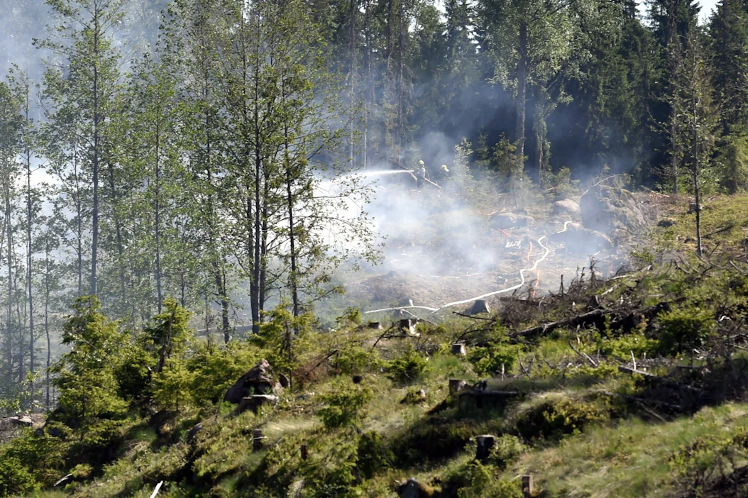 Lauantaina metsäpalovaroitus on voimassa seitsemässä eteläisessä maakunnassa. Kuva Loviisasta vuodelta 2018. LEHTIKUVA / JUSSI NUKARI.