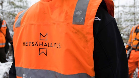 Metsähallitus tavoittelee puolen miljoonan säästöjä. Kuvituskuva.