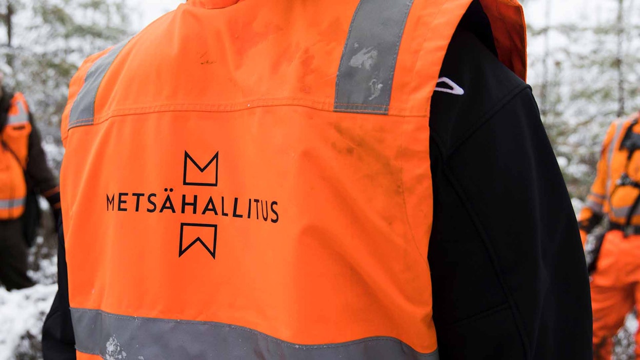 Metsähallitus tavoittelee puolen miljoonan säästöjä. Kuvituskuva.