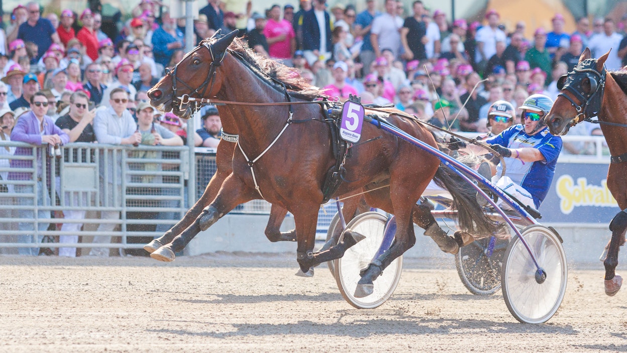 Amazing Player on toisen Toto5-kohteen suosikki.