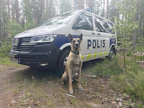 Poliisikoira Luigin sankarityöt ovat saaneet laajaa huomiota sosiaalisessa mediassa.