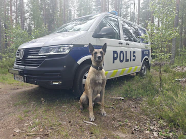 Poliisikoira Luigin sankarityöt ovat saaneet laajaa huomiota sosiaalisessa mediassa.