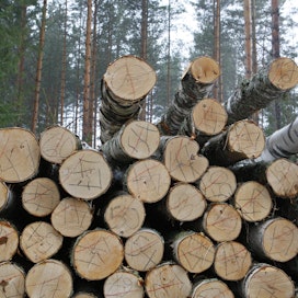 Metsäliiton edustajisto käyttää jäsenistön korkeinta päätäntävaltaa Metsä Groupissa.