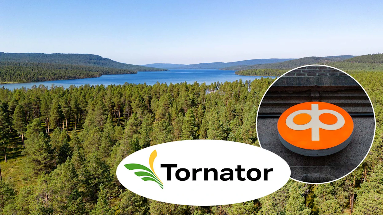 Merkittävä määrä metsää vaihtaa omistajaa, kun Tornator on ollut ostoksilla.