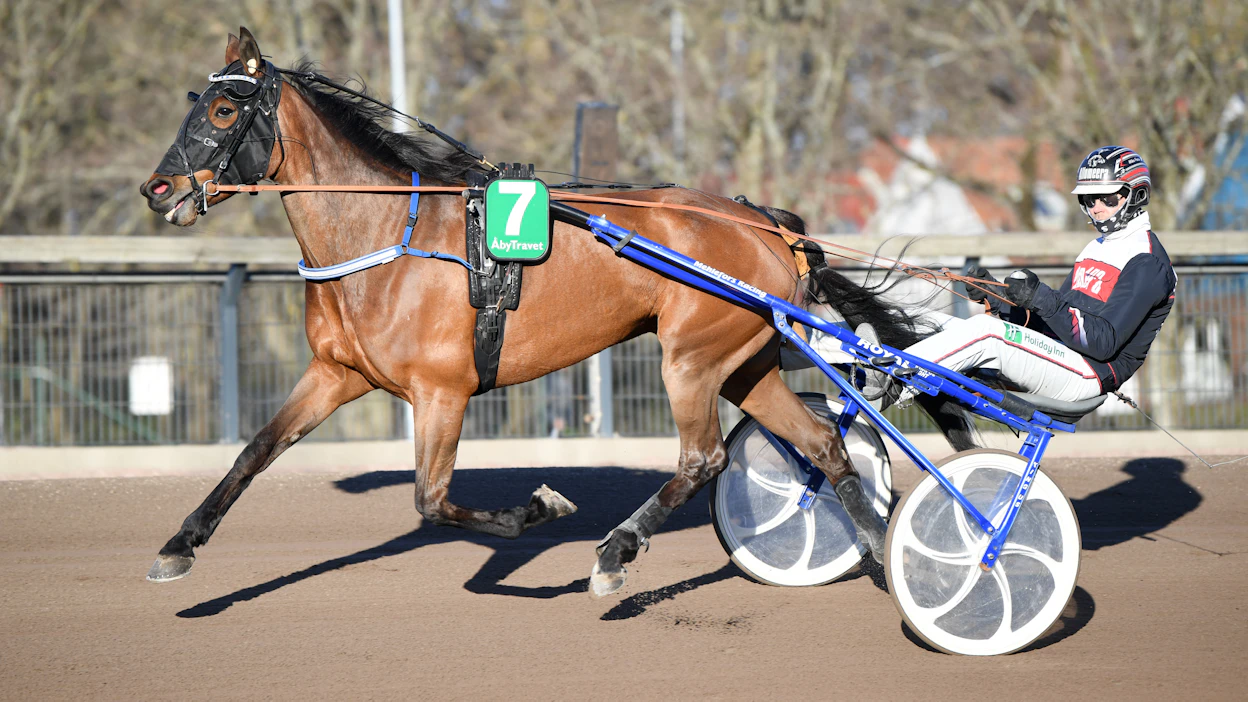Mikael Melefors on tyytyväinen saatuaan Mika Forssin Naomi Brosin ohjastajaksi. Kaksikko on jo tällä kaudella lunastanut paikan syksyn Breeders Crown -välieriin.