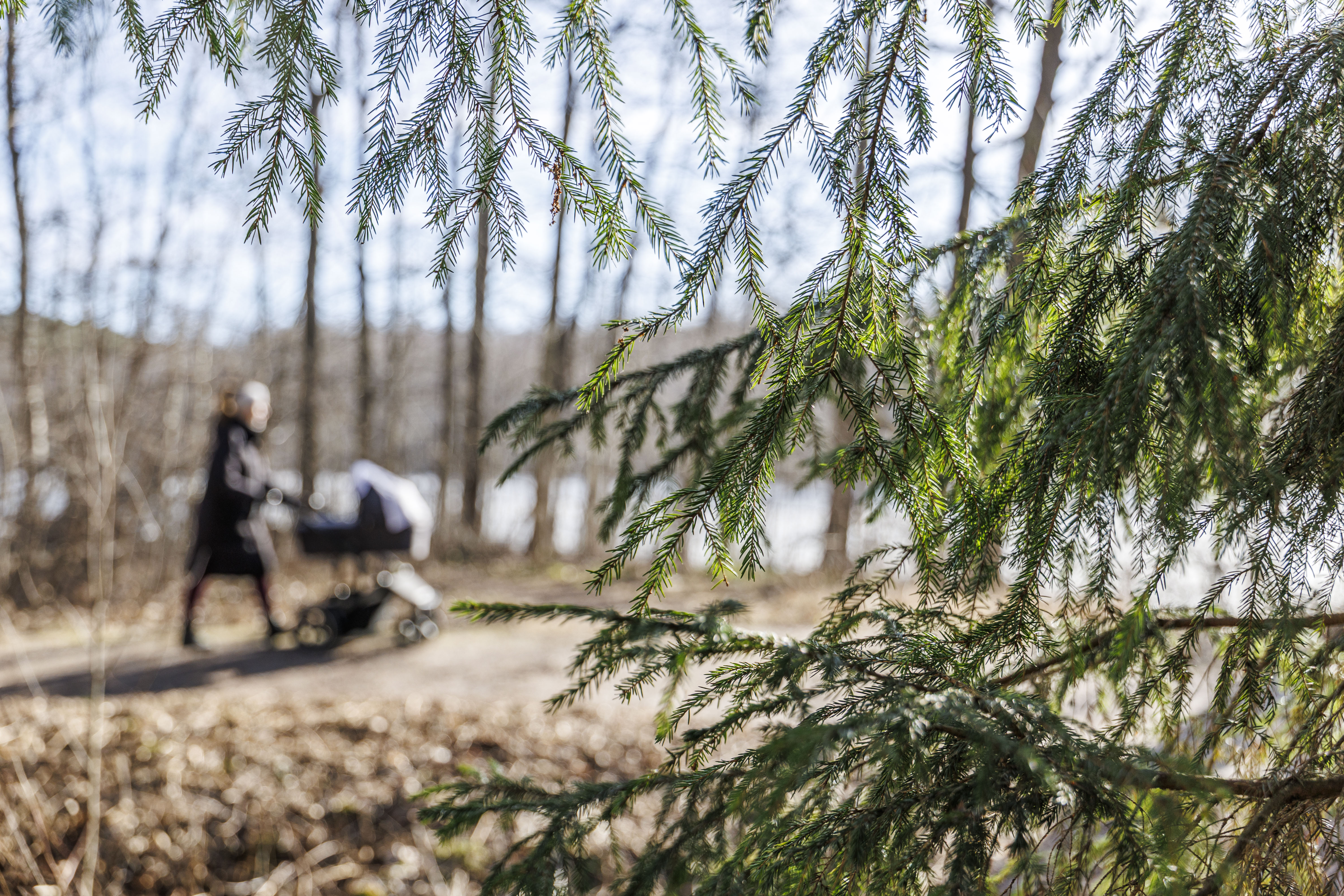 Listalle on koottu retkikohteita, joissa kevätretkeily on helpointa ja mukavinta.