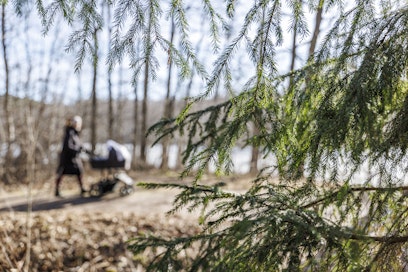 Tulevaisuususko syntyy kolmesta asiasta: merkityksestä, yhteydestä ja suunnasta. Kuvituskuva. 