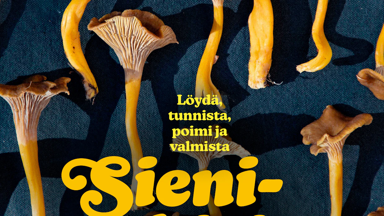 Mari Moilanen: Löydä, tunnista, poimi ja valmista – Sienikirja. WSOY. 314 sivua.