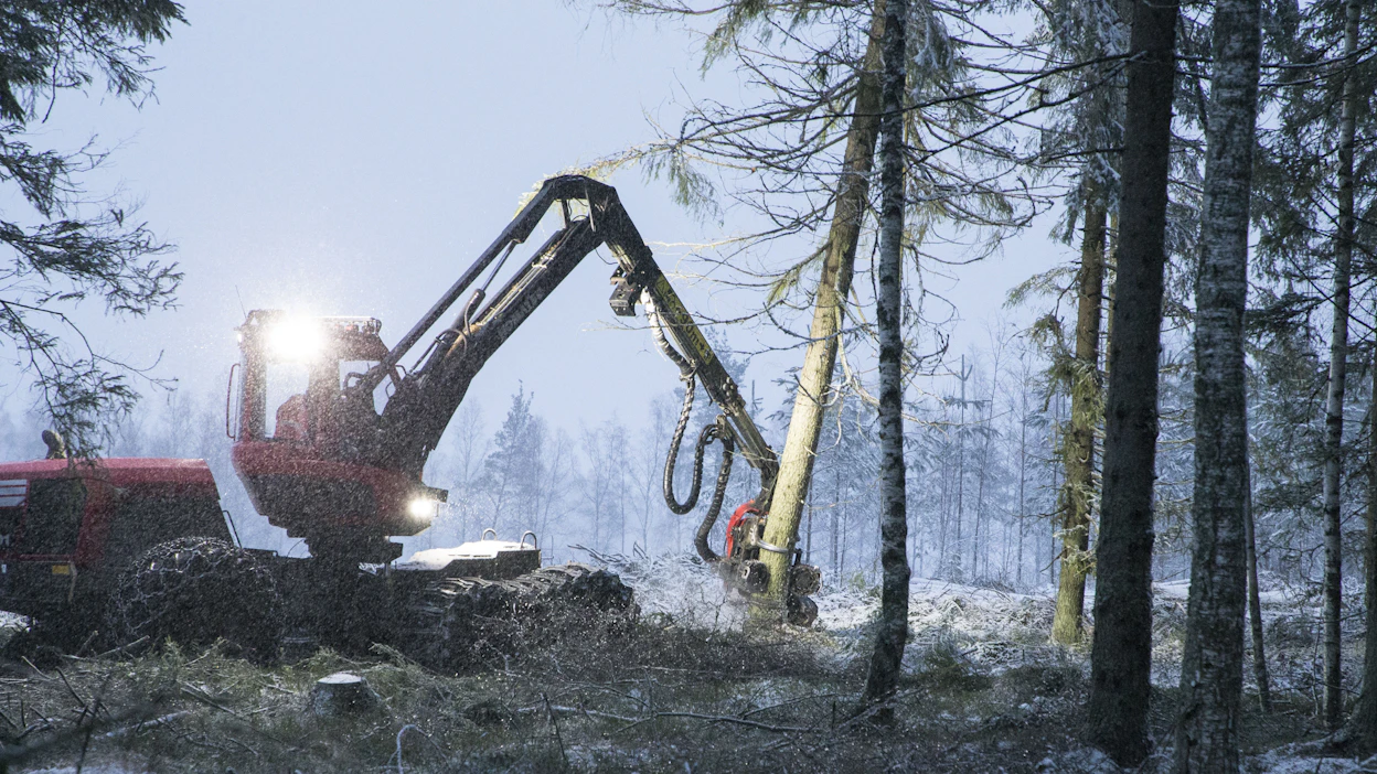 Yli puolet viljelijöistä ja suurten metsäntilojen omistajista aikoo tehdä puukaupan vielä tänä vuonna.