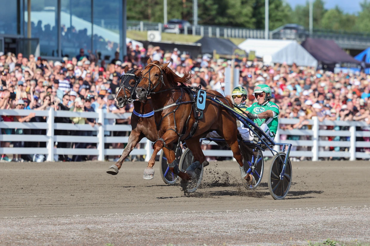 V.G. Voitto kiidätti Ari Moilasen hänen viidenteen ravikuninkuuteenssa. Kuningatarkisan voittoja Moilasella on kolme.