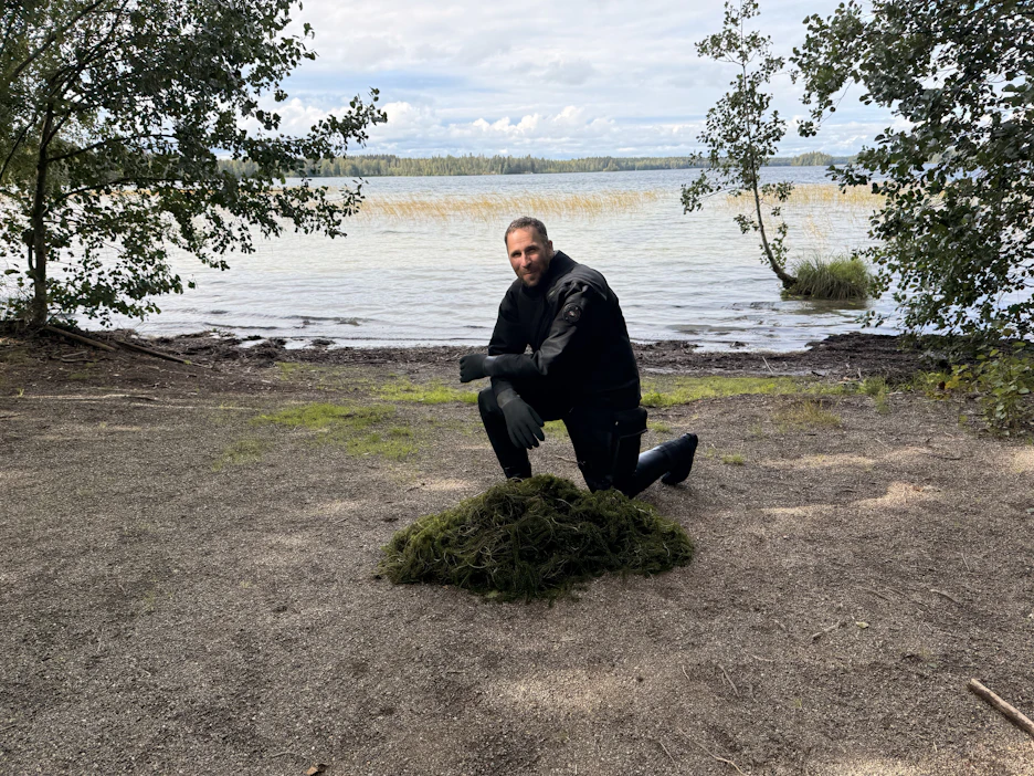 Sukeltaja Juha-Pekka Repo osallistuu kanadanvesiruton kitkemiseen Kuorinka-järvellä.