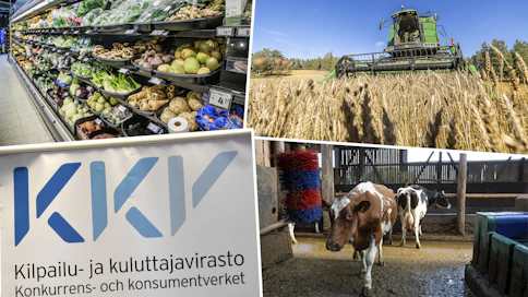 MTK ja SLC vaativat Kilpailu ja kuluttajavirastoa selvittämään onko S-ryhmän osuuskauppojen yhteistyö lainmukaista.