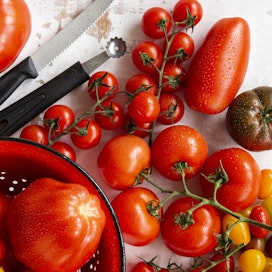Tomaatit vaikuttivat eurooppalaisille alkujaan epäilyttäviltä.