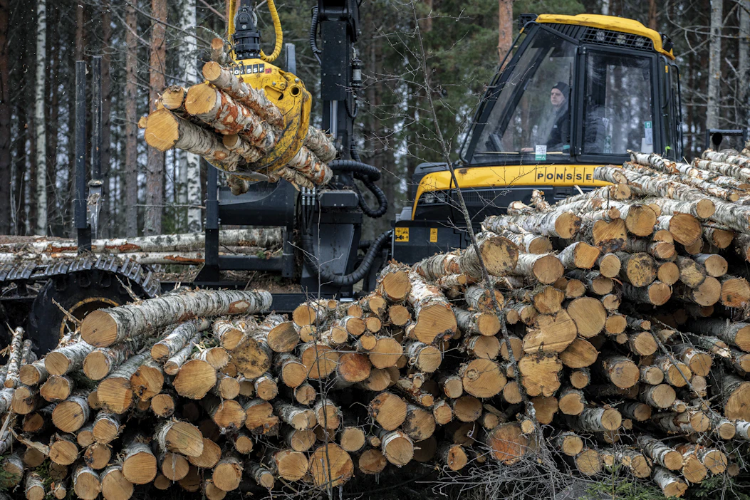 Metsäyhtiöt ovat lisänneet koivukuitupuun hankintaa sekä kotimaasta että lähialueilta.