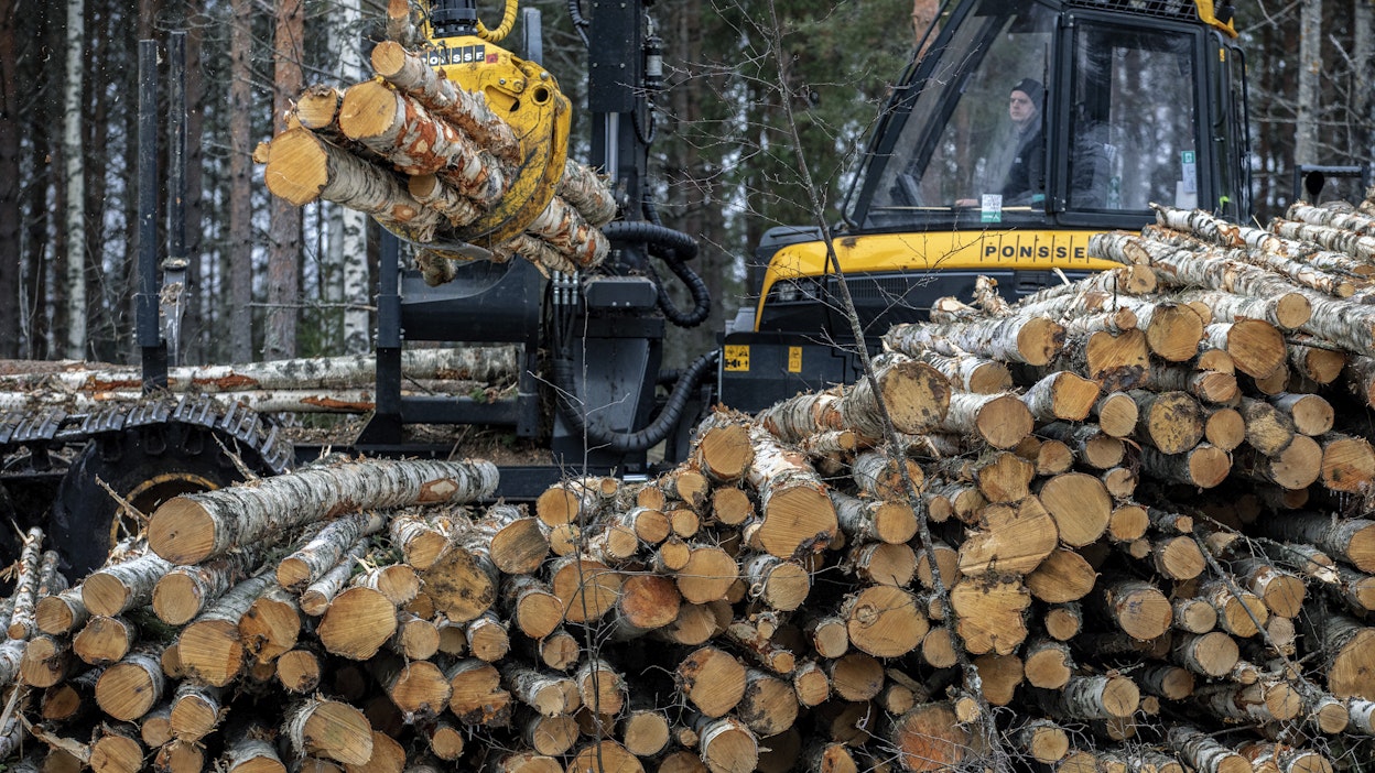 Metsäteollisuus ry:n jäsenyritykset ovat ostaneet alkuvuonna puuta yksityismetsistä seitsemän prosenttia vähemmän kuin viime vuonna tähän aikaan.