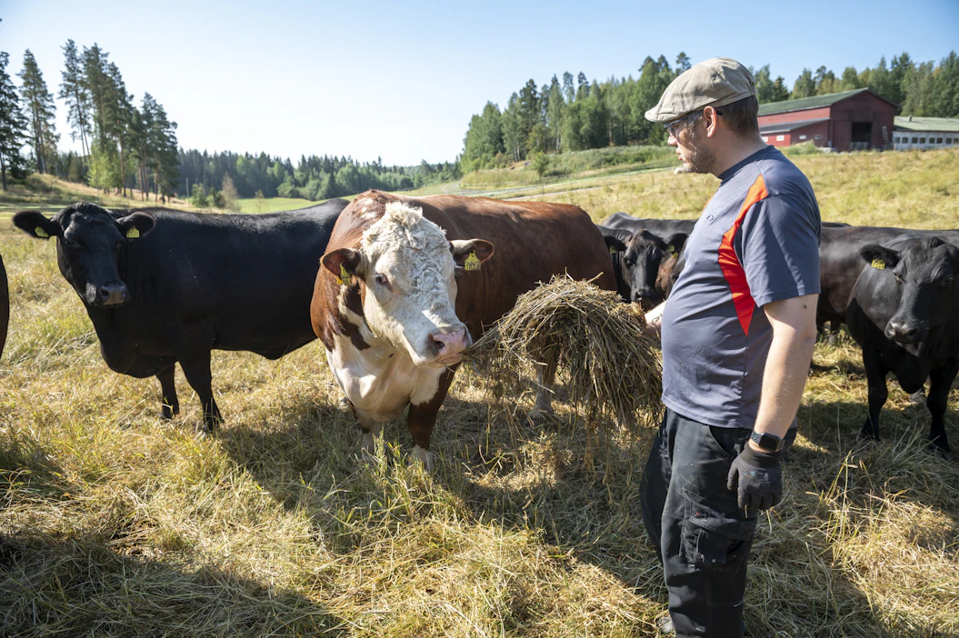 Eerikki Viljasen mielestä eläinpalkkioiden siirtyminen ensi vuoteen ei ole vaihtoehto.