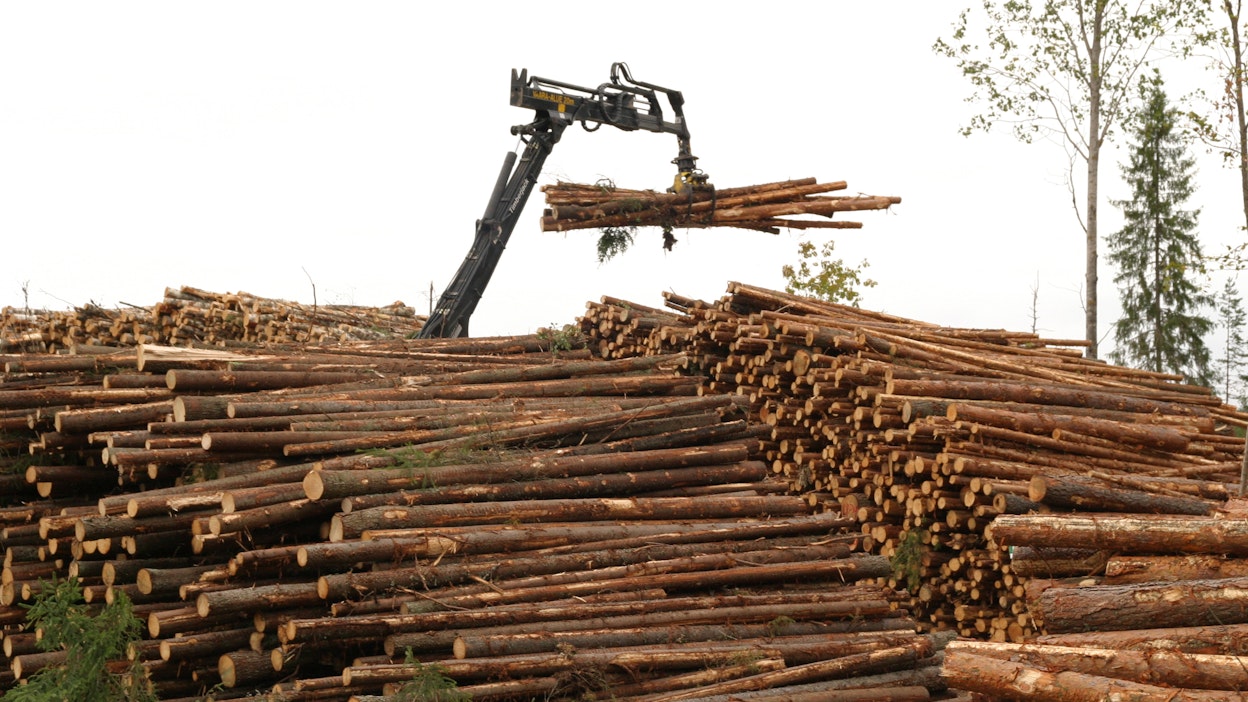 Useimmissa puukauppa­sopimuksissa ostajalla on kaksi vuotta aikaa toteuttaa sopimuksen mukainen hakkuu. Usein puunkorjuu tapahtuu varsin nopeasti.