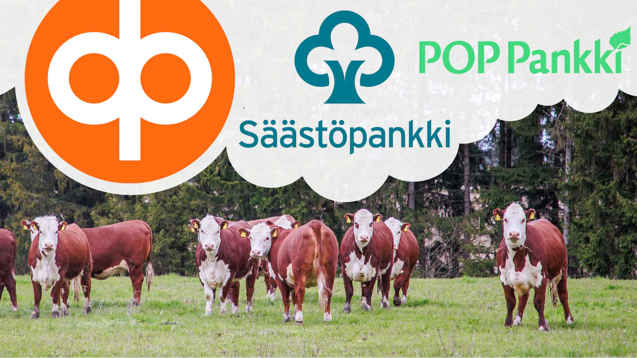 Pankit eivät vastusta uusia naudanlihan kauppamalleja, mutta monilla tiloilla eläinrahoitus on yhä tiiviisti sidoksissa teurastamoiden tarjoamiin luottoihin.