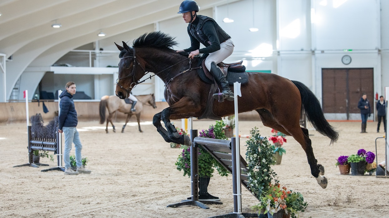 Anselmi Laiho ratsasti Balilla Laura Collettin klinikalla viikon tutustumisen jälkeen.