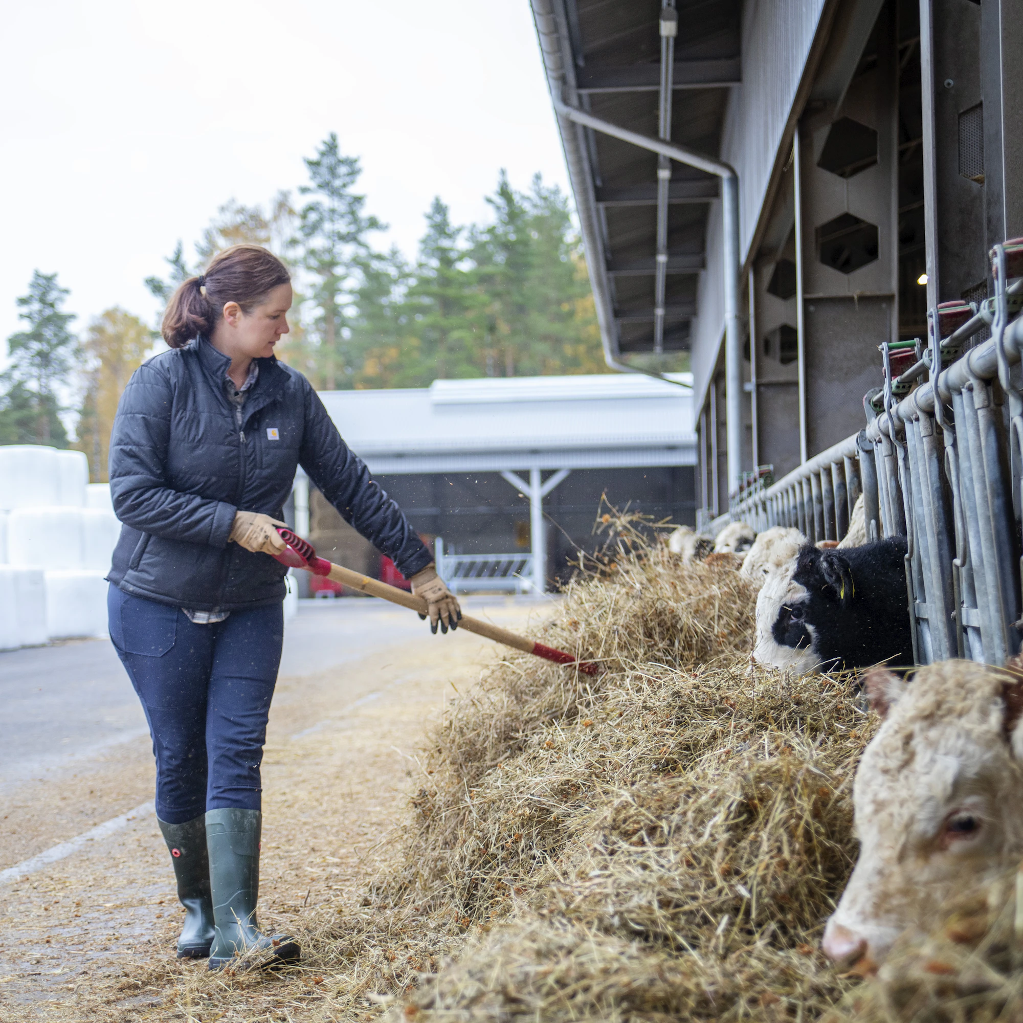 Maanviljely on iso Hanna Wesmanin identiteettiä. ”Olen syntynyt täällä, opiskellut tätä, teen tätä yrittäjänä, palkkatöissä ja luottamustoimissa ja suurin osa kaveripiiristäni on maanviljelijöitä.”