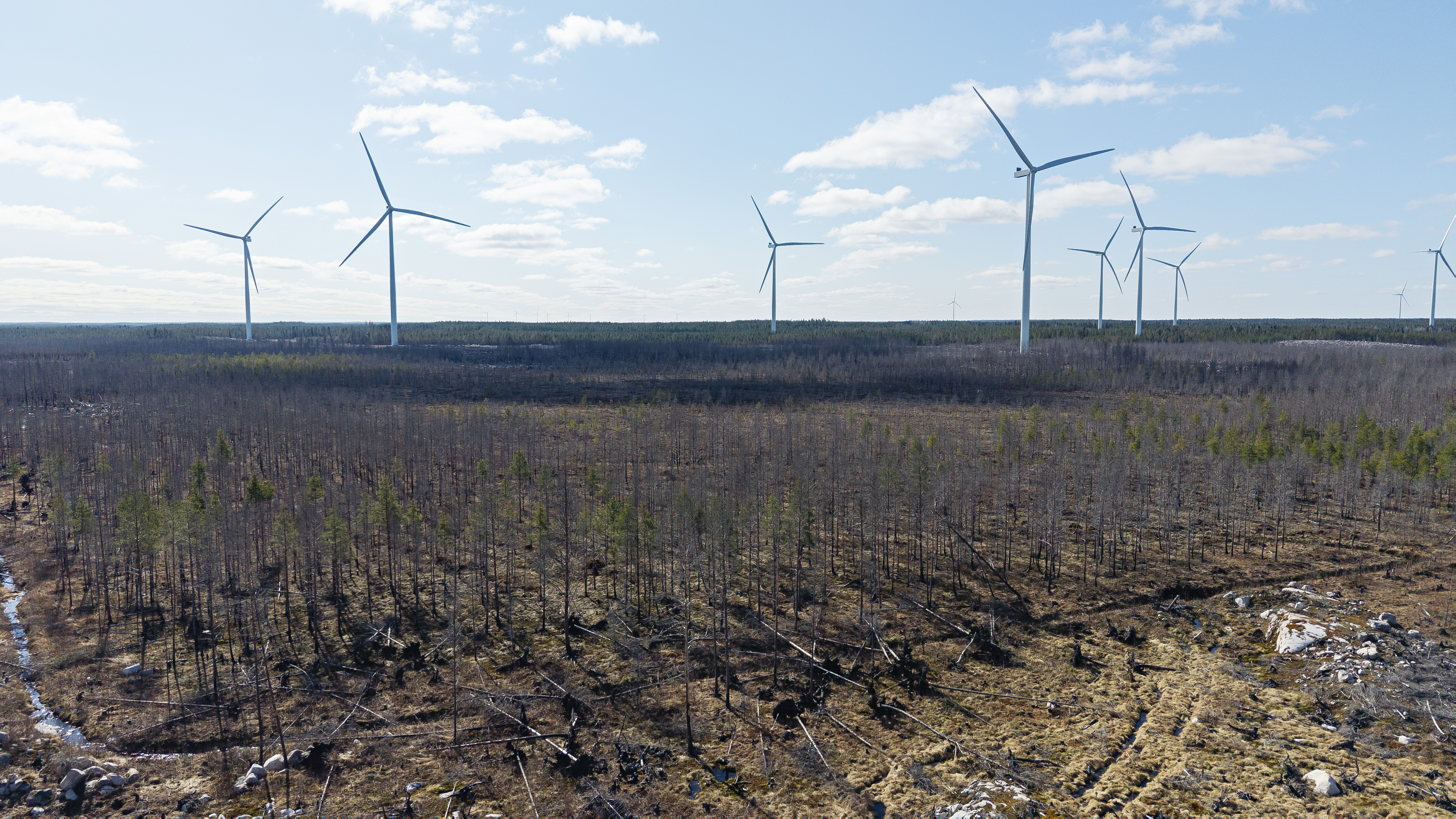 Tuulivoimaloita. Kuvituskuva.