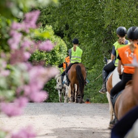 Elokuussa päättyvän Hevoshäme-hankkeen tavoite on luoda kestävästä hevosmatkailusta koko maakuntaa yhdistävä teema. Kuvituskuva Koivuniemen tallilta Hämeenlinnasta.
