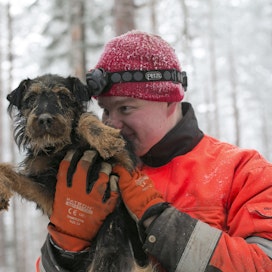 Kuvituskuva. Kuvassa oleva saksanmetsästysterrieri ei ole luolasta pelastettu koira. 