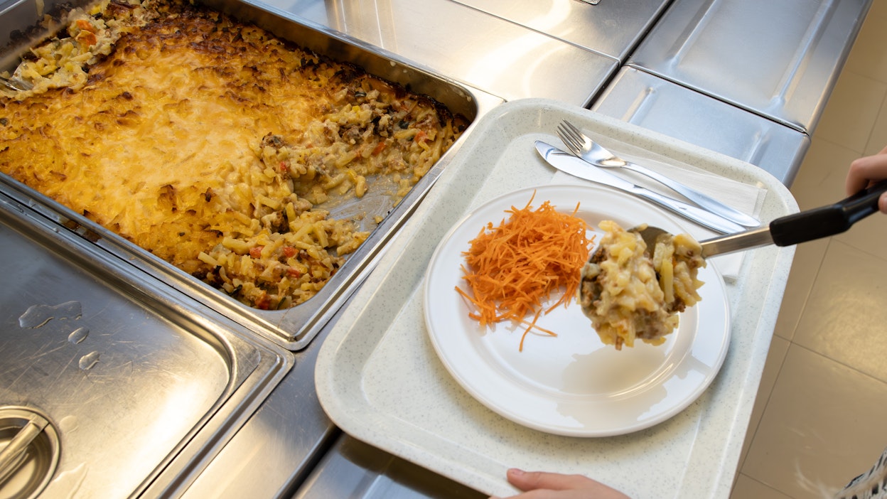 Päiväkodin ruoasta löytyi hiiri. Kuva ei liity tapaukseen.