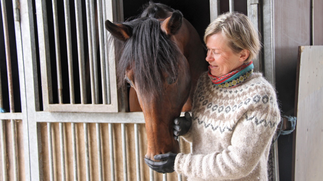 Eeva-Liisa Penttilä ja KS-tallilla astuva Hard Livin.