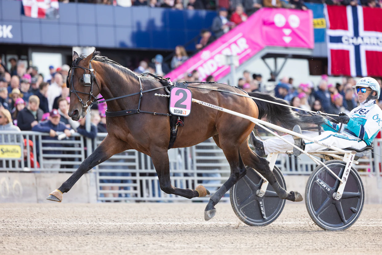 Keep Asking sijoittui toiseksi Elitloppet-sunnuntain nelivuotiseliitissä Örjan Kilhstömim ohjastamana ennätyksellään 09,5a.
