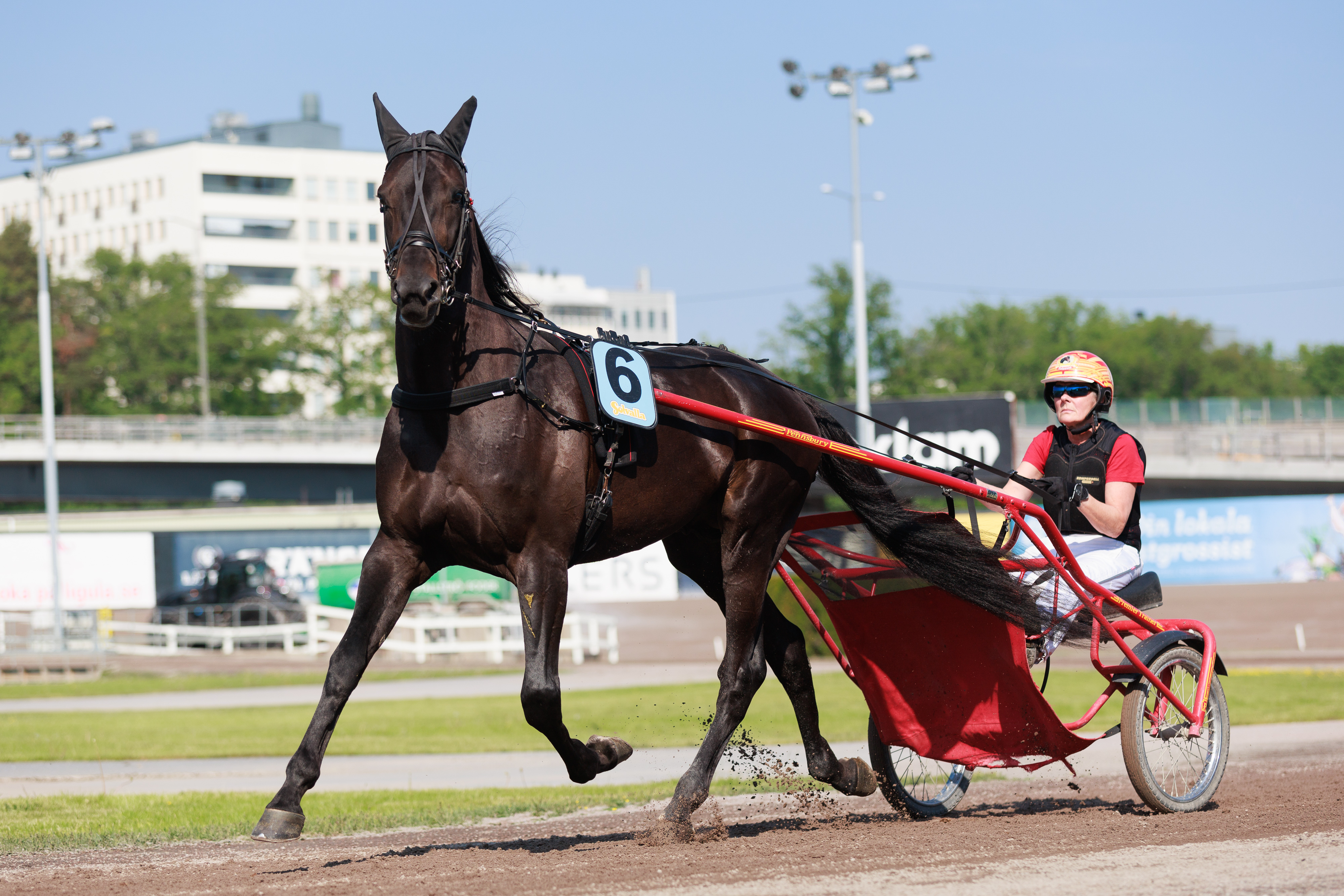 Freako oli Bodenin vakuuttavin voittaja Toto75-kohteiden osalta.
