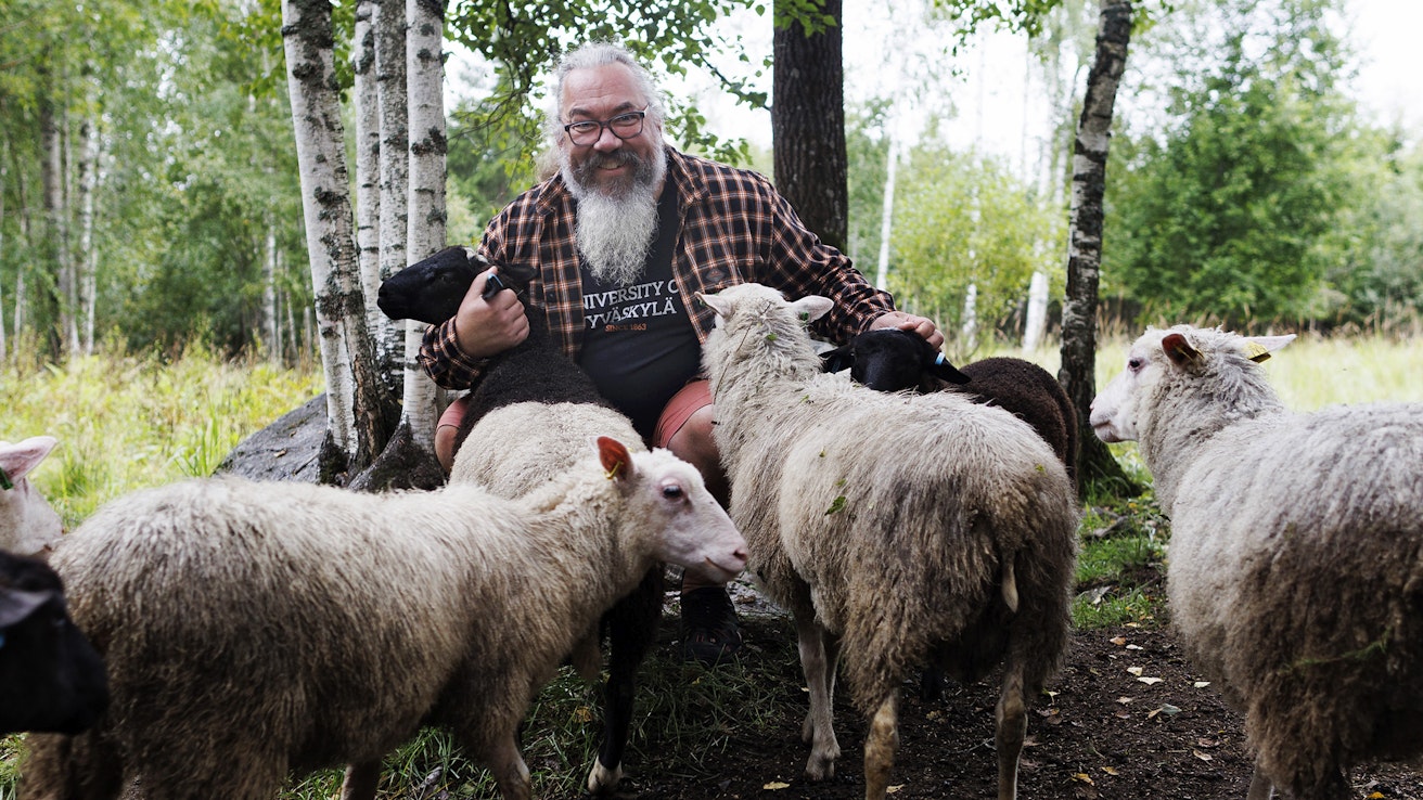Janne Kotiaholla on kesäisin lampaita hoitamassa perinnebiotooppeja. Lihan osalta perhe on omavarainen. 