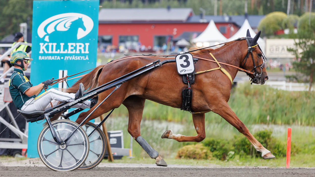 Neiti Sävel (Välähdys) on startannut 21 kertaa totosijoin 5-7-1. Rahaa hevonen on tienannut 37 010 euroa.