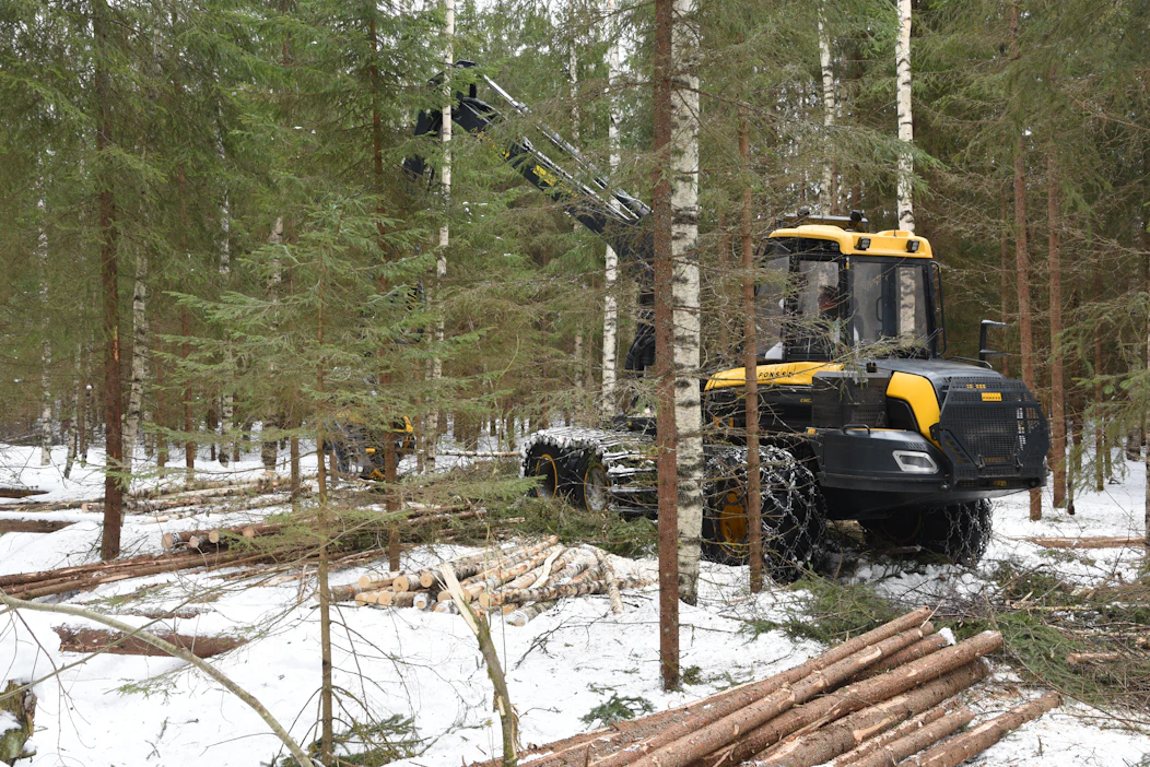 Ennakkoraivaus ennen ensiharvennusta oli tässä kohteessa välttämätön. Avoimiksi raivatut puiden tyvet auttavat kuljettajaa valitsemaan kaadettavat puut. Harvesterin hakkuupään vaurioiden riskikin pienenee.
