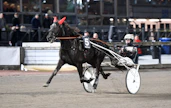 Victor Rosleffin Molly Jo Poof voitti pari viikkoa sitten Breeders Crownin alkuerän Åbyssa. Sunnuntaina kaksikko otti finaalipaikan sijoittumalla toiseksi Breeders Crownin välierässä.
