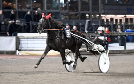 Victor Rosleffin Molly Jo Poof voitti pari viikkoa sitten Breeders Crownin alkuerän Åbyssa. Sunnuntaina kaksikko otti finaalipaikan sijoittumalla toiseksi Breeders Crownin välierässä.