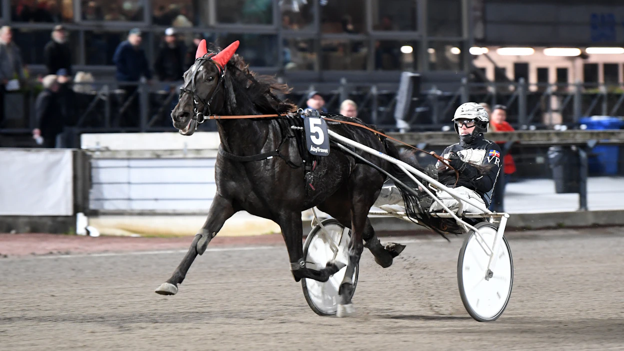 Victor Rosleffin Molly Jo Poof voitti pari viikkoa sitten Breeders Crownin alkuerän Åbyssa. Sunnuntaina kaksikko otti finaalipaikan sijoittumalla toiseksi Breeders Crownin välierässä.