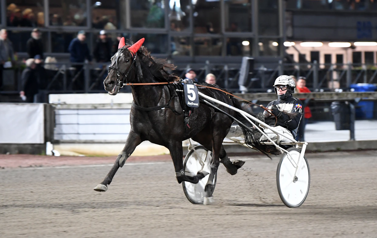 Molly Jo Poof pääsi viime kauden päätteeksi ikäluokkafinaaliin. Viktor Rosleff ohjasti kauden viimeiset startit.