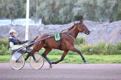 Ravien vihjerivissä kohteessa kolme uskotaan vahvasti nousukuntoisen Bienvenuen voittoon. 