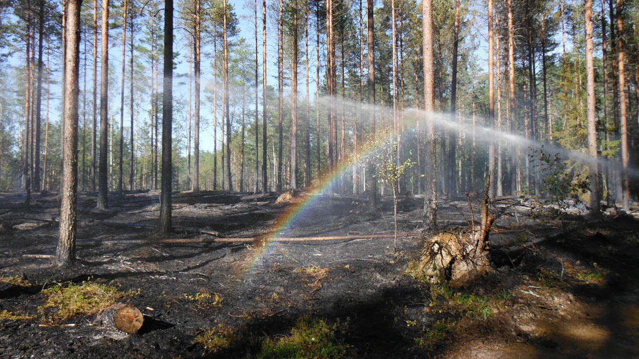 Metsähallituksen Luontopalvelut toteuttaa 16. heinäkuuta Litokairan luonnonsuojelualueella Ranualla.