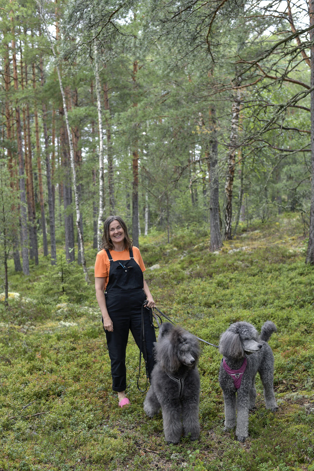 Isovillakoirat Jojo ja sen äiti Utu ovat Jaana Pauluksen lenkkeilykavereina myös uusissa kotimaisemissa Taalintehtaalla.