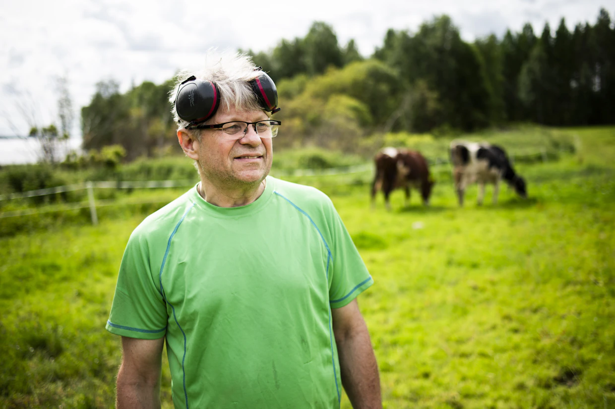 Pertti Salmi on tuottanut maitoa 37 vuotta. Byrokratia alkaa olla hänelle liian raskasta.