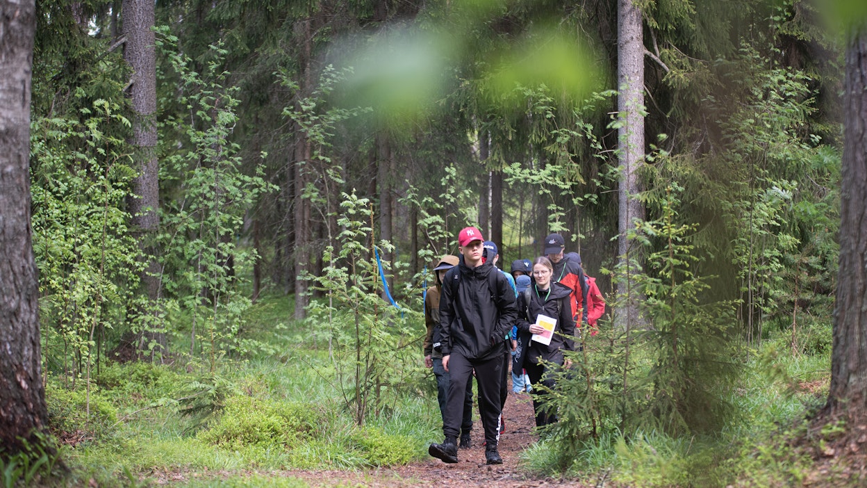 Loppukilpailu käytiin torstaina 25. toukokuuta Tuusulan Ruotsinkylän tutkimusmetsässä. 