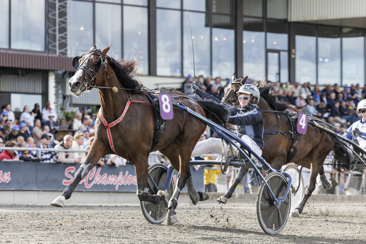 Jenny A Björk voitti heinäkuussa Axevallan Stochampionatet-viikonloppuna T75-lähdön Troels Andersenin Gilmore Trotin rattailla.