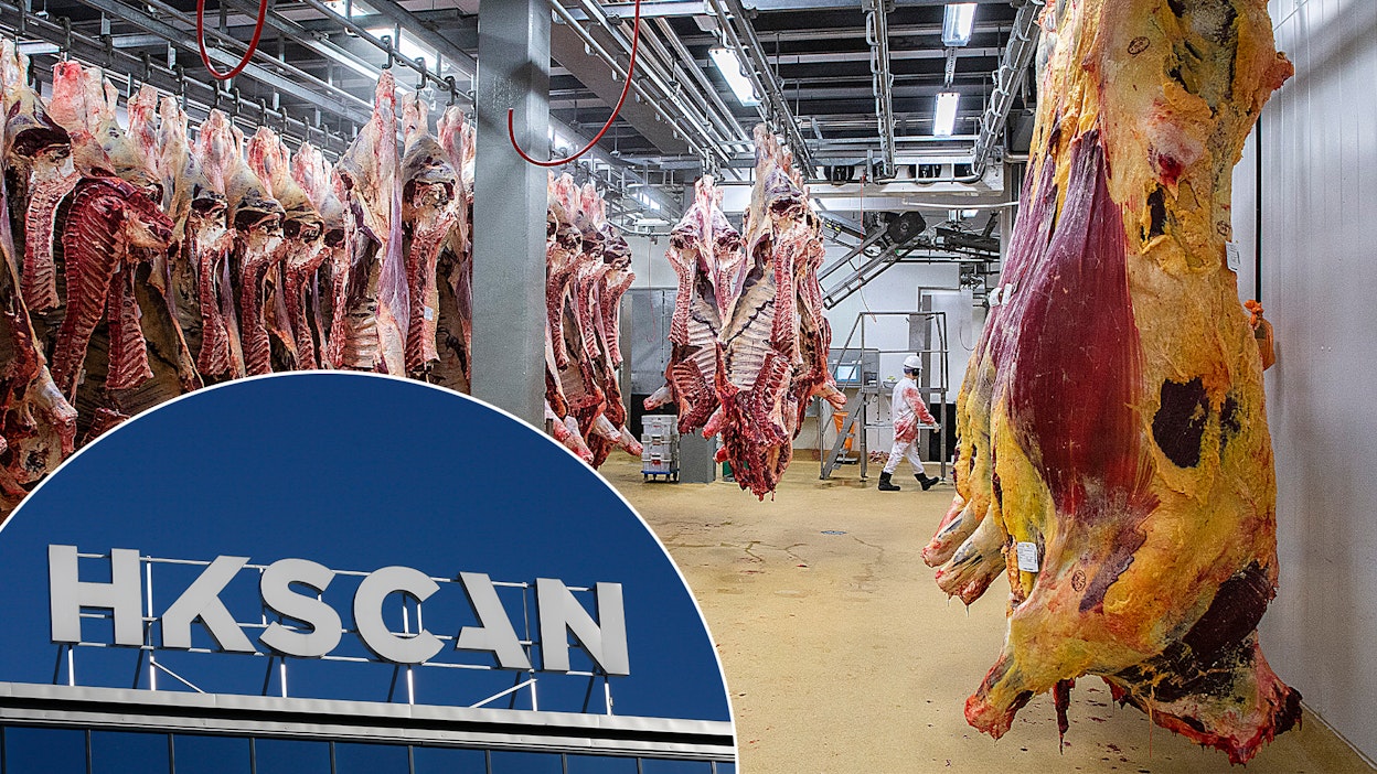 Vientilupa naudanlihalle Japaniin avaa HKScanille vastaavanlaiset mahdollisuudet toimia Japanin markkinoilla kuin sian- ja siipikarjanlihassakin. 