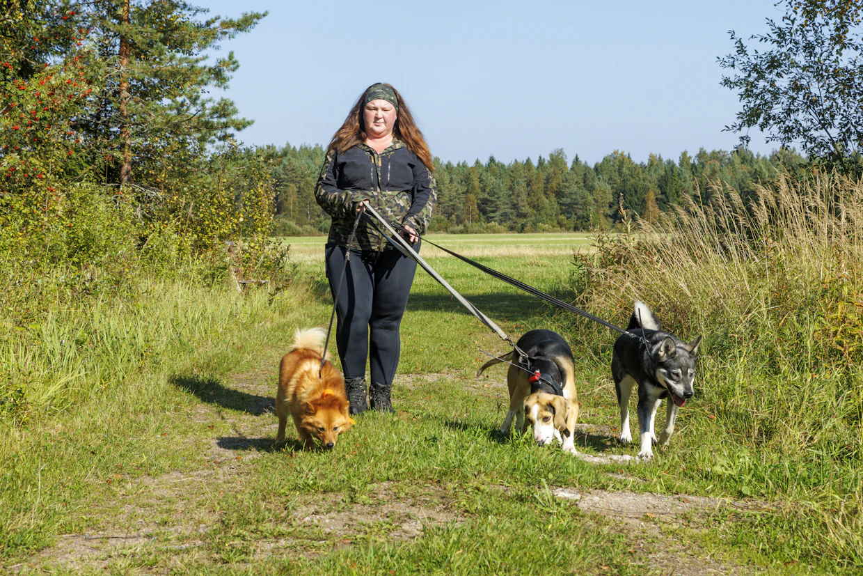 Aktiivisesti metsästystä harrastavalle Hanna-Maria Laukkaselle aiheuttaa päänvaivaa muun muassa se, että metsästyskoirien sijaintitiedot katoilevat kartalta.