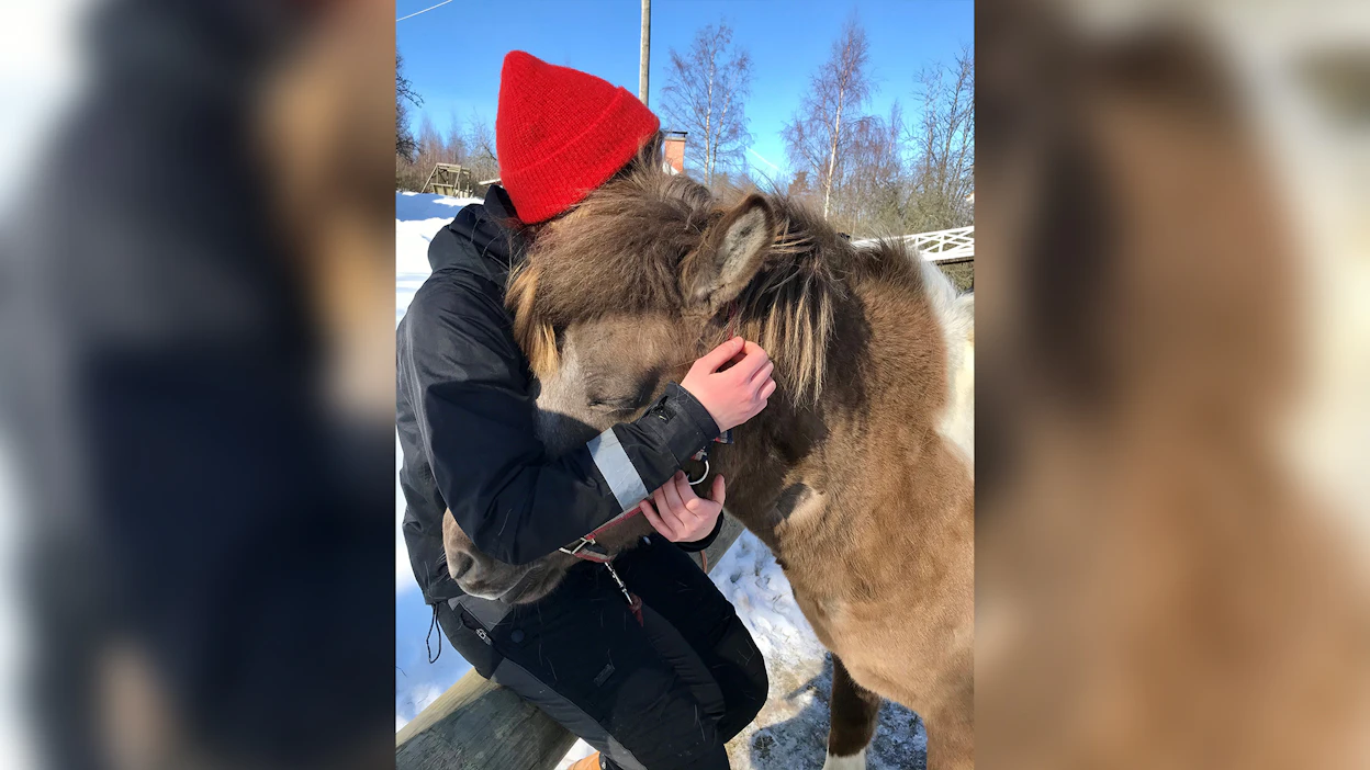 ”Vaikka väsyttäisi ja olisi sairaanakin, hevosihmisen löytää usein silti sorvin ääreltä.”