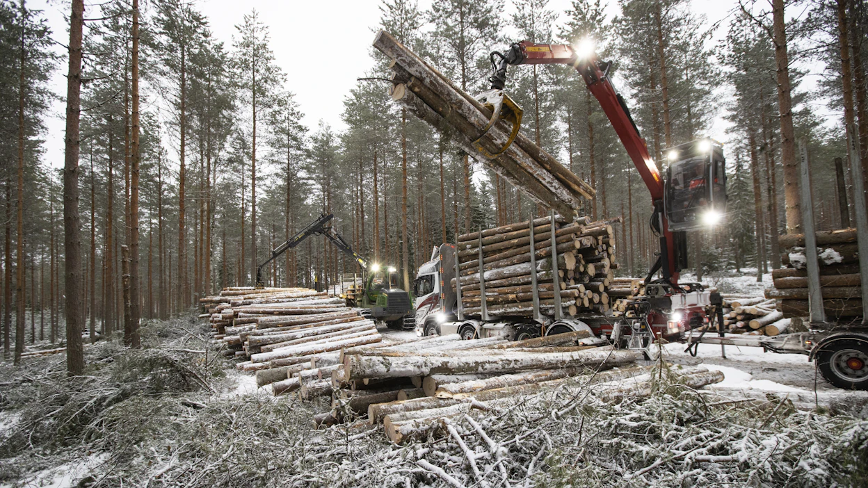 Tutkimusten mukaan metsiä hakataan aiempaa enemmän, jolloin hiilinielut vähenevät. Kuvituskuva.
