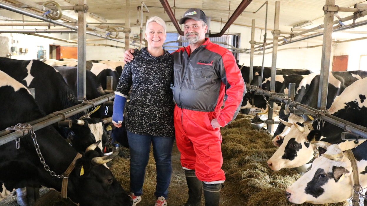 Niina ja Tero Elgland käyttävät harkitusti asiantuntijoiden palveluita. ”Jättäydyimme pois karjantarkkailusta, sillä tuotoksen seurannan hoitaa mittaavat lypsimet.”