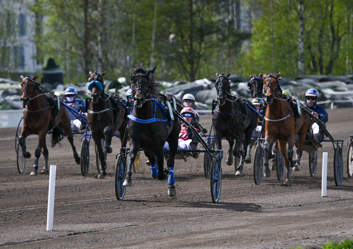 Holcombe Zet aloitti Antti Ojanperän tallista uljaalla keulasoololla.